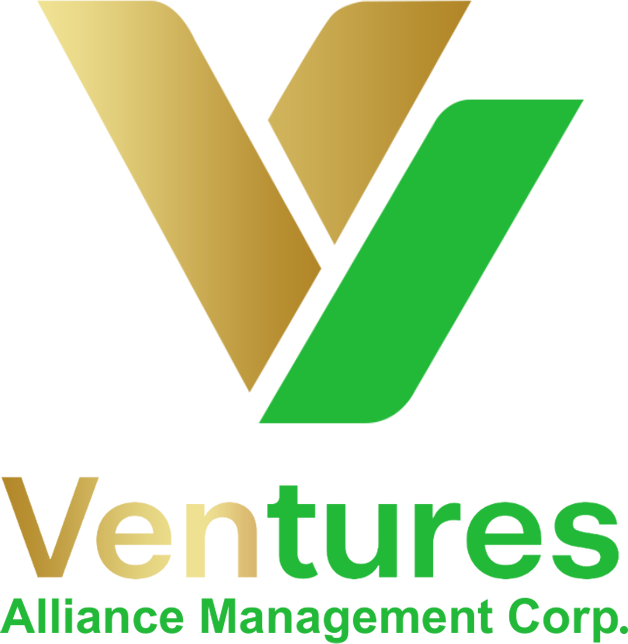 Ventures Alliance Management Corp
